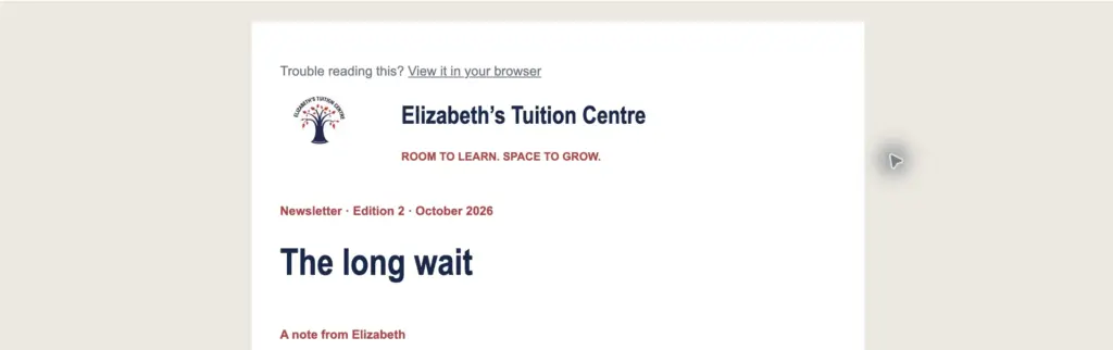 A branded newsletter, previewed before sending.